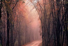 配资公司10大排名:炒股配资开平台-真金白银+实物好礼！上市公司“花式”回馈股东